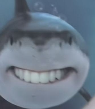 Shark logo